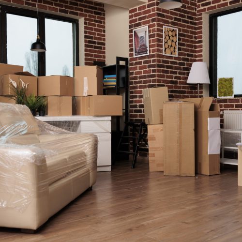 Nobody in living room house with decor boxes to move in